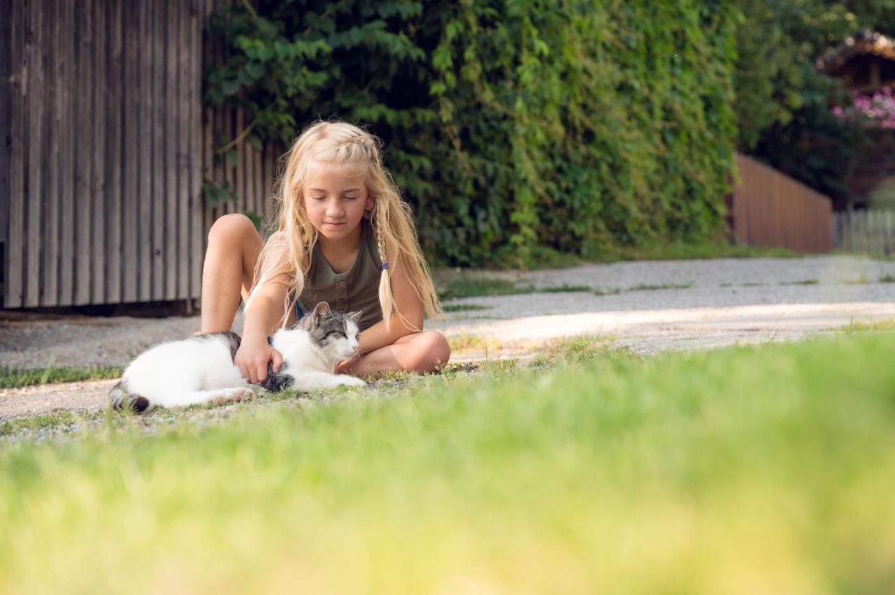 Familienbauernhof Samerhof Pfarrwerfen Zewnętrze zdjęcie