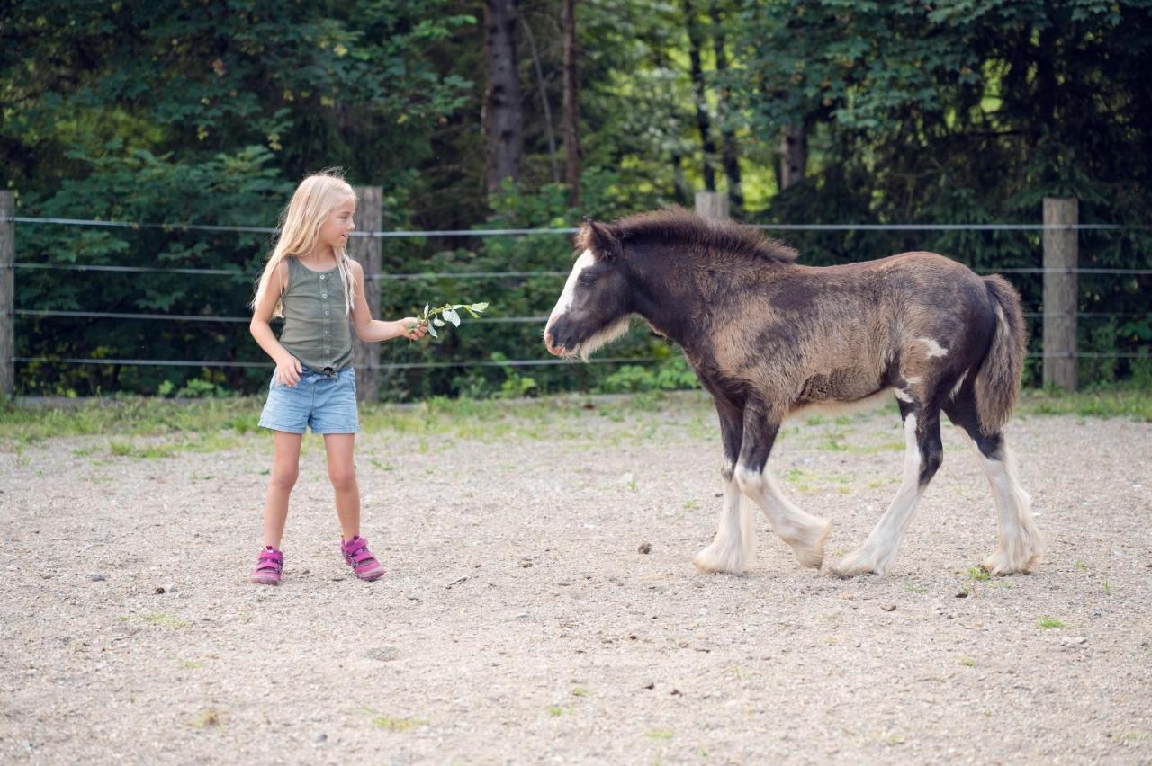 Familienbauernhof Samerhof Pfarrwerfen Zewnętrze zdjęcie
