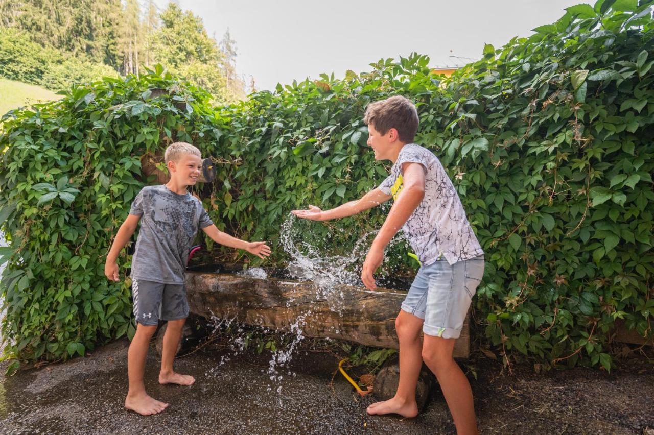 Familienbauernhof Samerhof Pfarrwerfen Zewnętrze zdjęcie