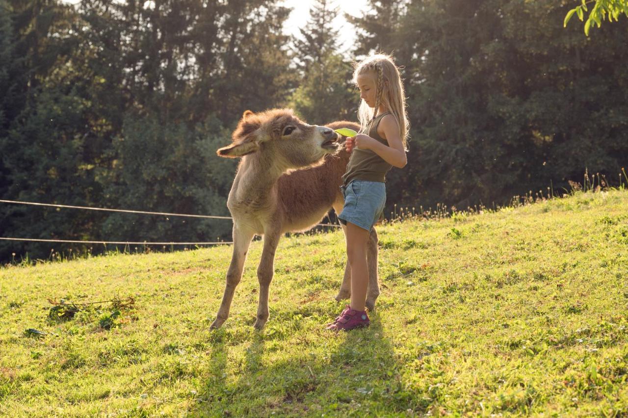 Familienbauernhof Samerhof Pfarrwerfen Zewnętrze zdjęcie