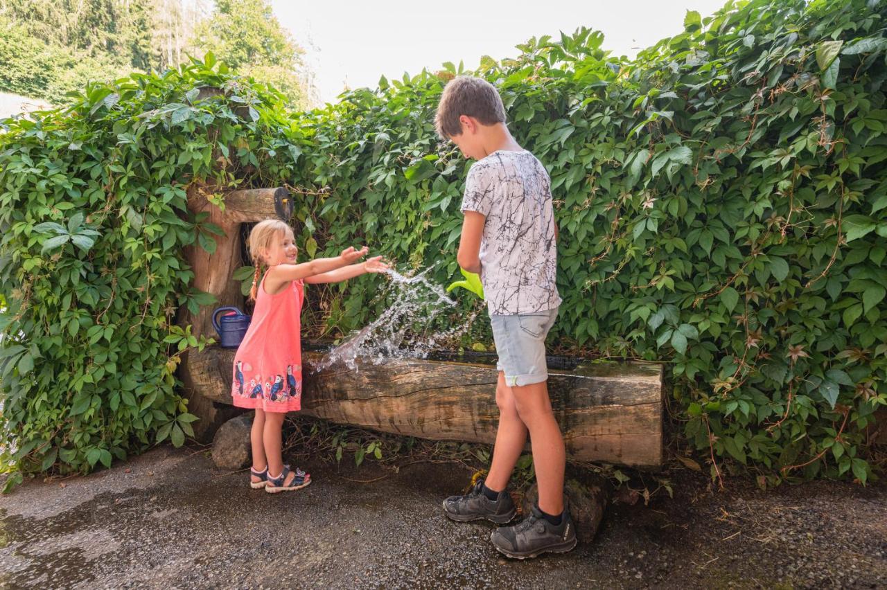 Familienbauernhof Samerhof Pfarrwerfen Zewnętrze zdjęcie