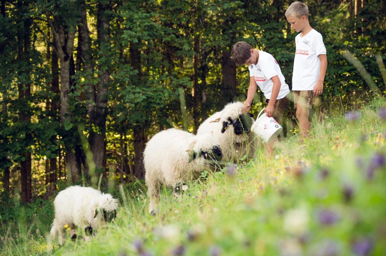 Familienbauernhof Samerhof Pfarrwerfen Zewnętrze zdjęcie