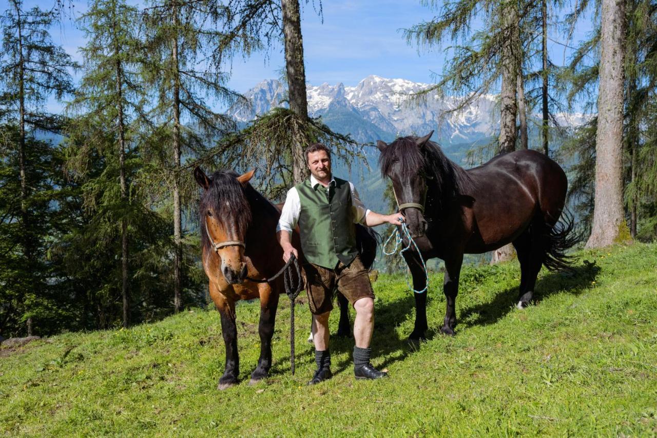 Familienbauernhof Samerhof Pfarrwerfen Zewnętrze zdjęcie