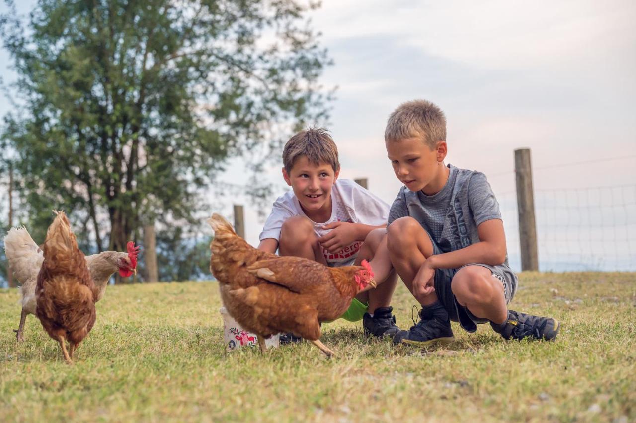 Familienbauernhof Samerhof Pfarrwerfen Zewnętrze zdjęcie