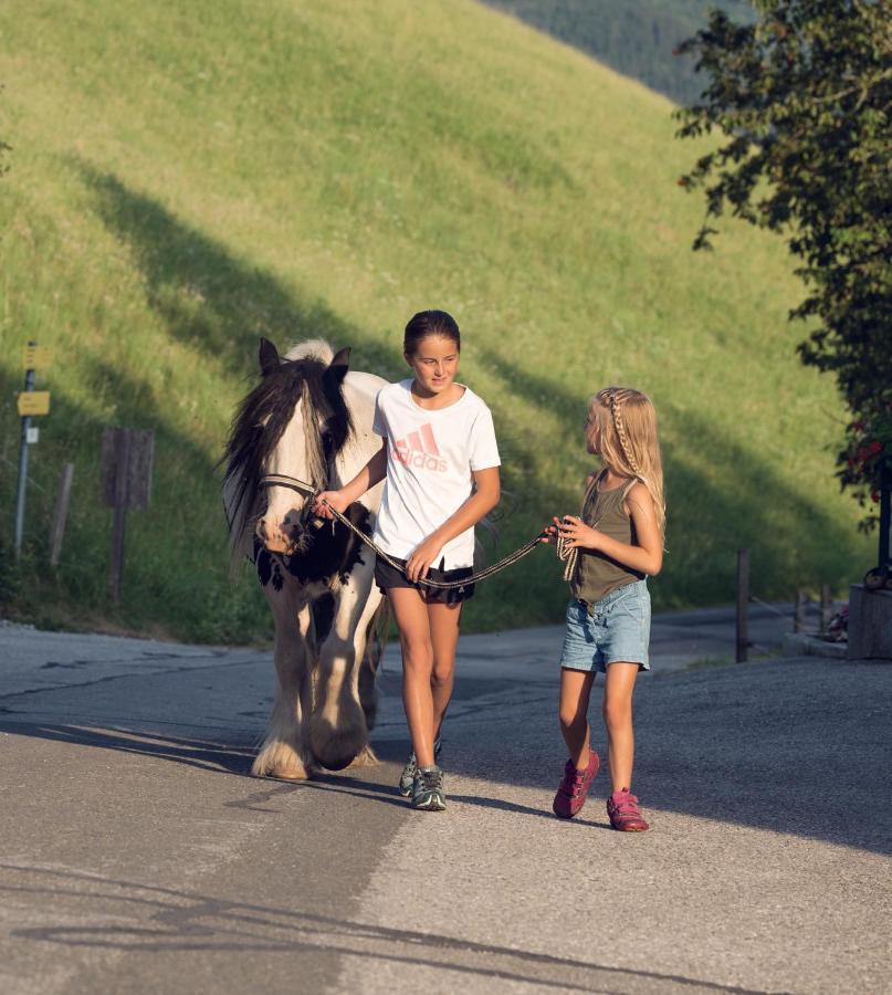Familienbauernhof Samerhof Pfarrwerfen Zewnętrze zdjęcie