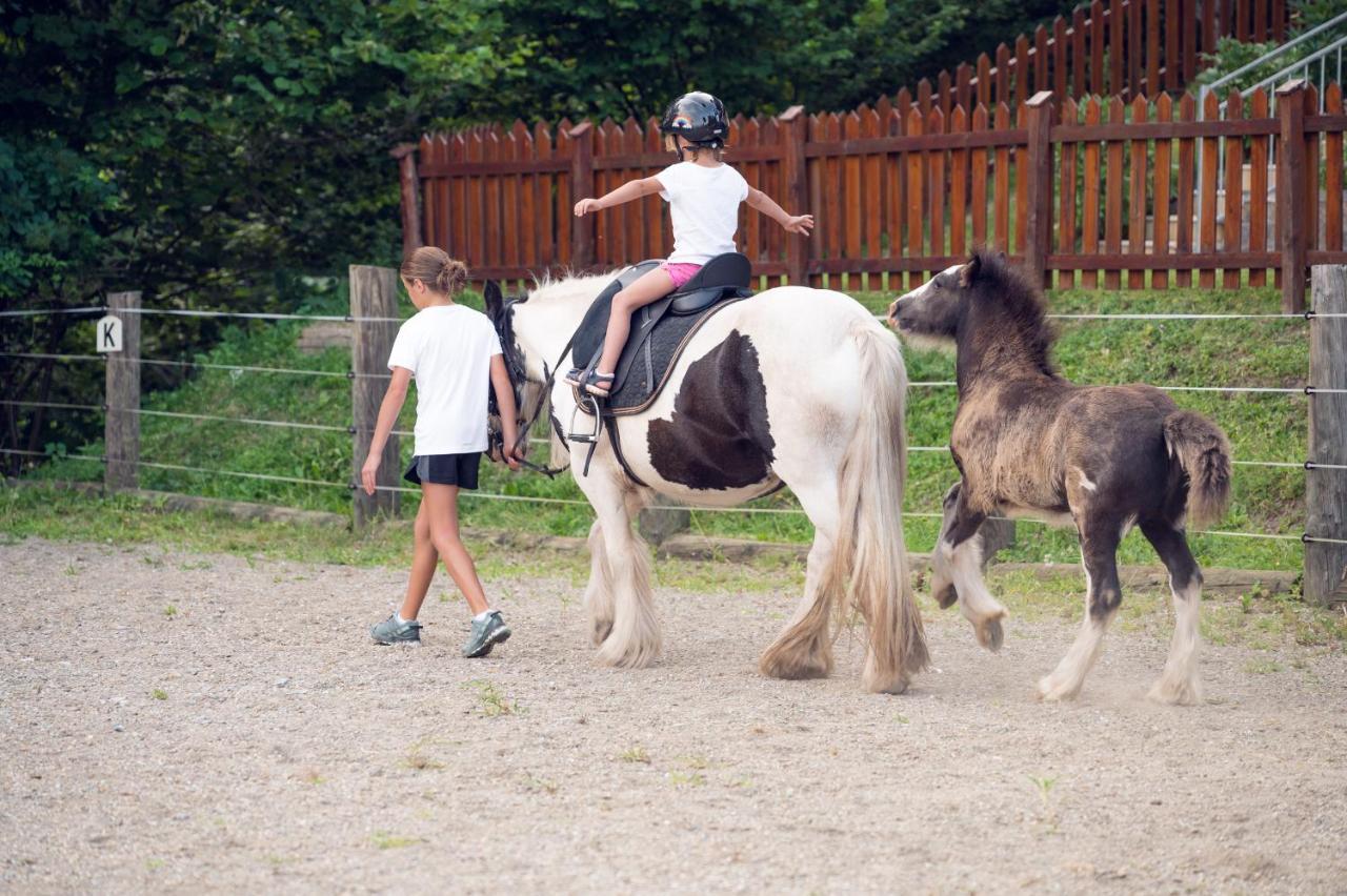 Familienbauernhof Samerhof Pfarrwerfen Zewnętrze zdjęcie