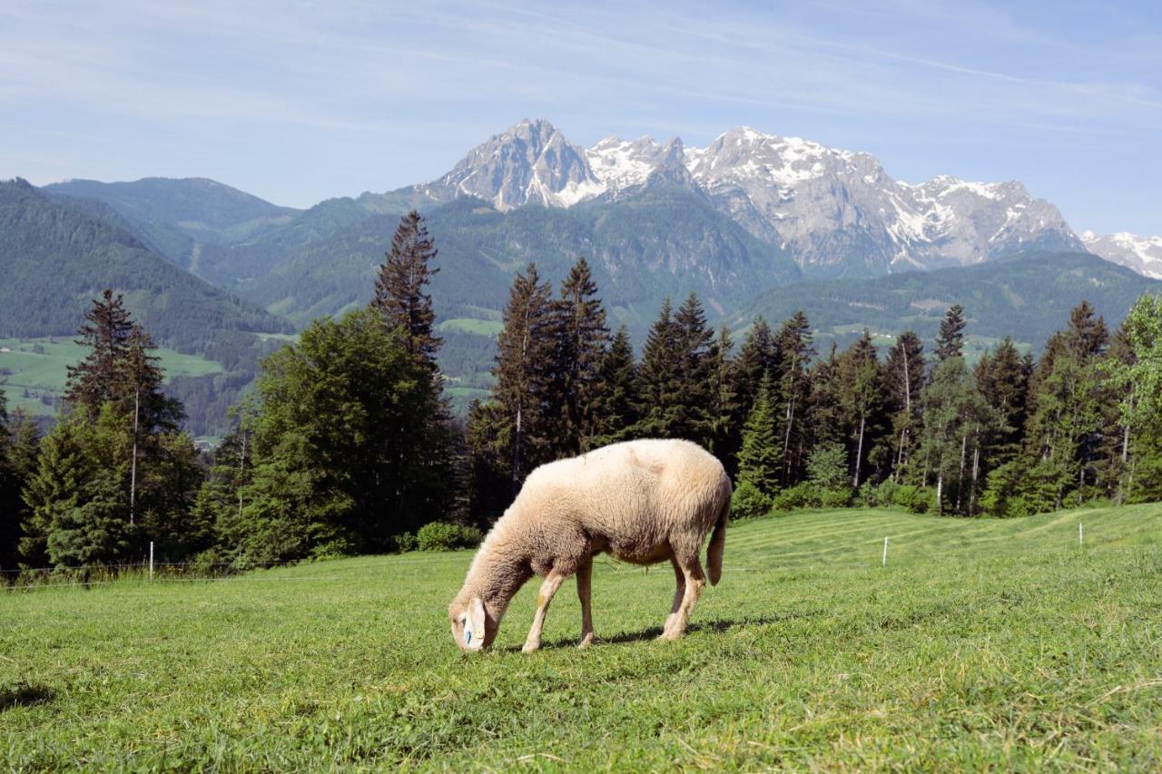 Familienbauernhof Samerhof Pfarrwerfen Zewnętrze zdjęcie