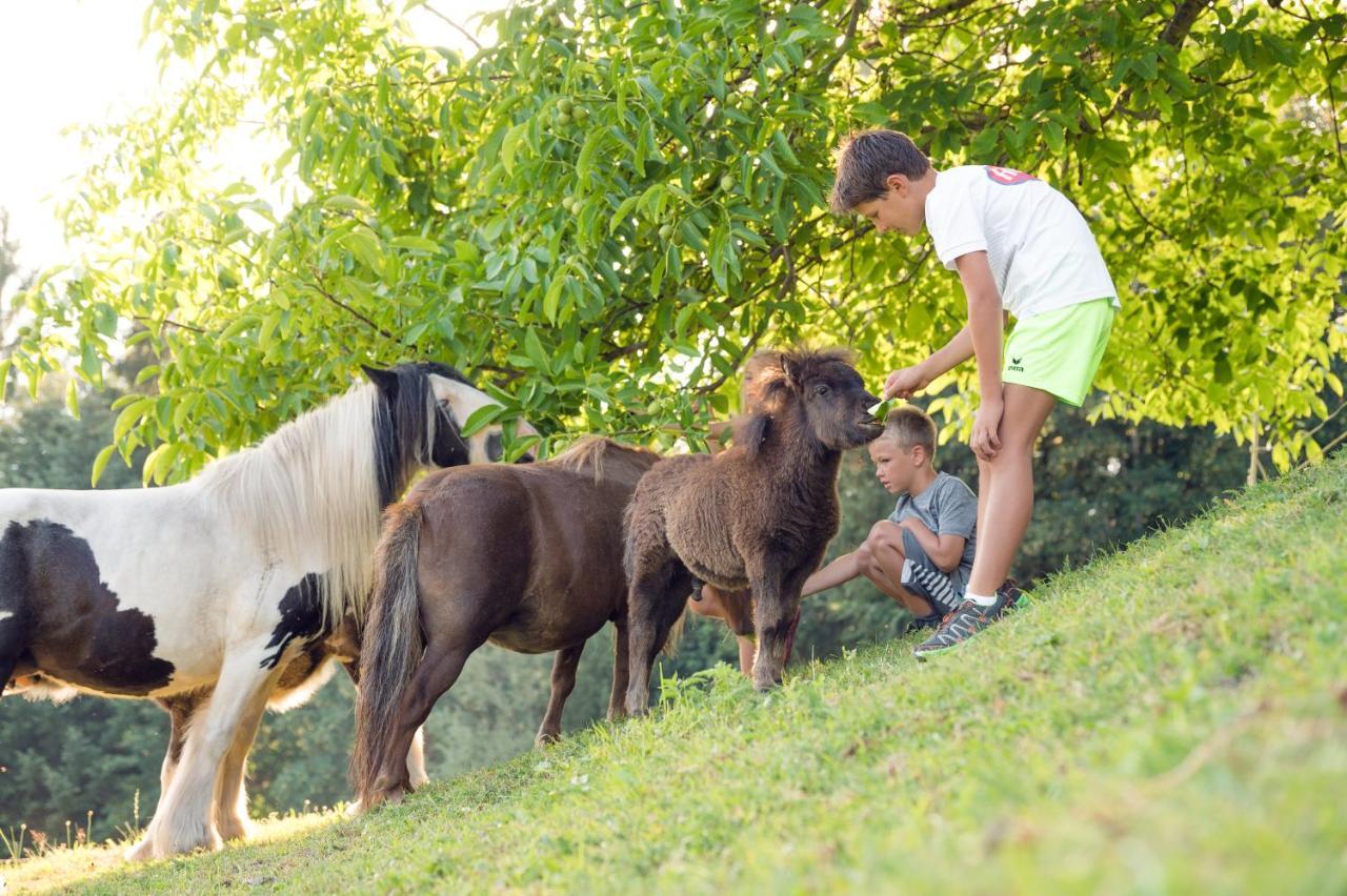 Familienbauernhof Samerhof Pfarrwerfen Zewnętrze zdjęcie