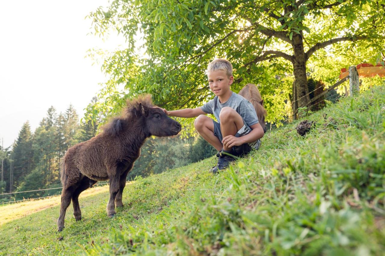 Familienbauernhof Samerhof Pfarrwerfen Zewnętrze zdjęcie
