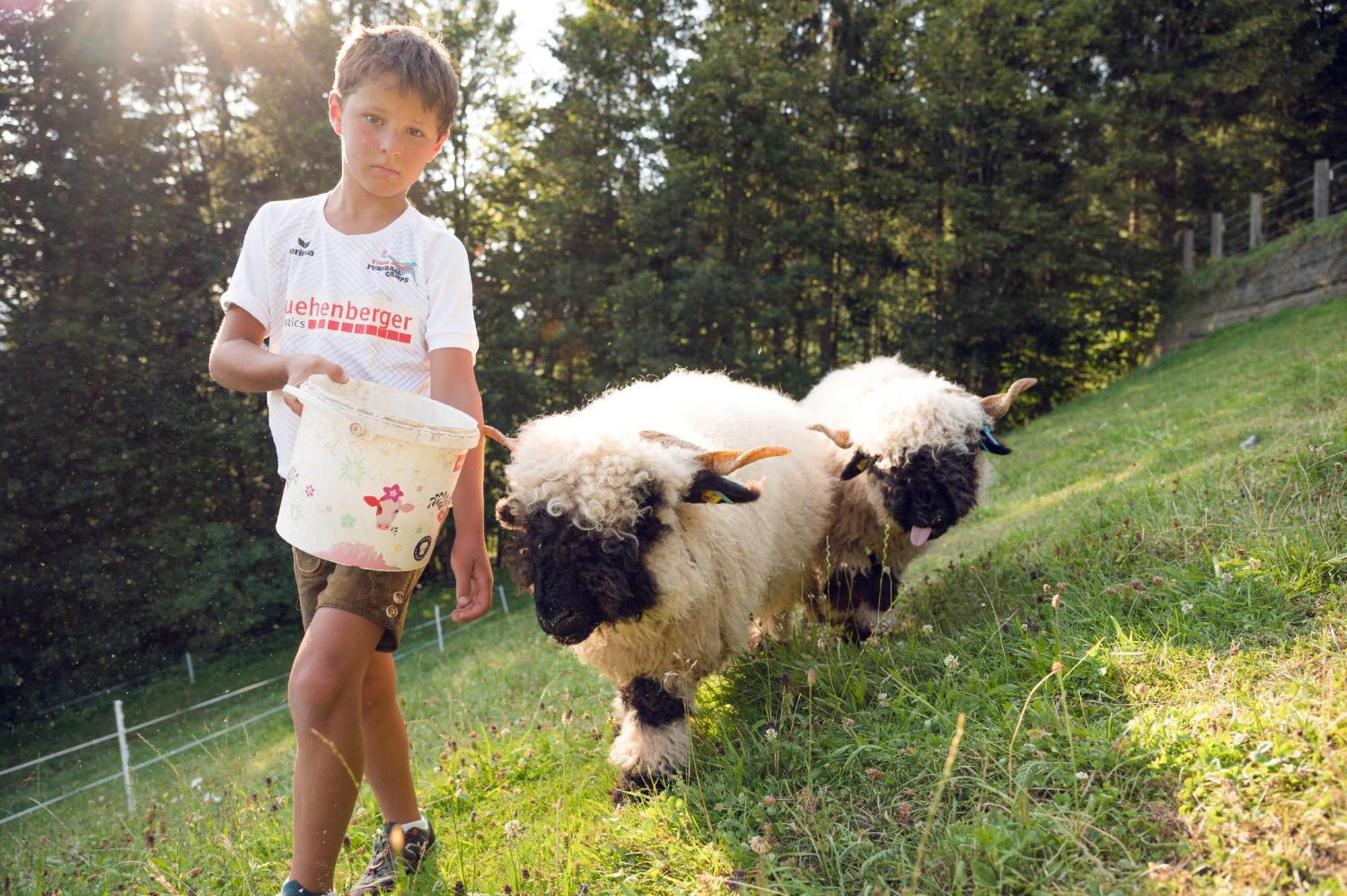 Familienbauernhof Samerhof Pfarrwerfen Zewnętrze zdjęcie