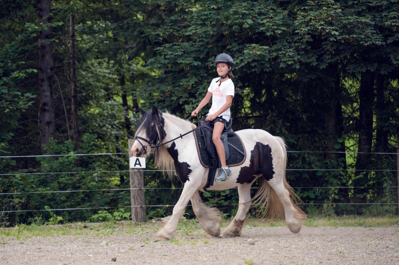 Familienbauernhof Samerhof Pfarrwerfen Zewnętrze zdjęcie