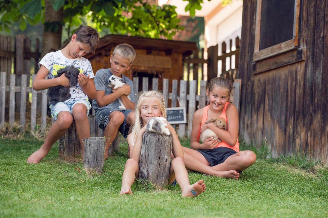 Familienbauernhof Samerhof Pfarrwerfen Zewnętrze zdjęcie