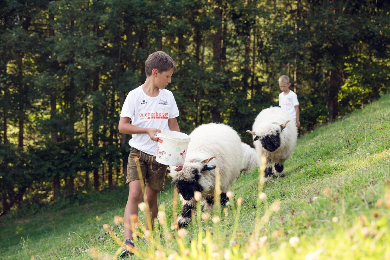 Familienbauernhof Samerhof Pfarrwerfen Zewnętrze zdjęcie