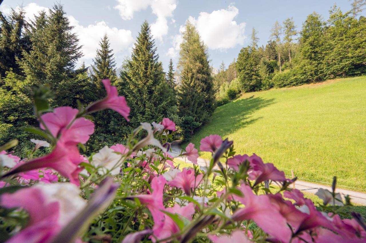 Familienbauernhof Samerhof Pfarrwerfen Zewnętrze zdjęcie